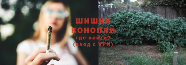прущие крисы Арсеньев
