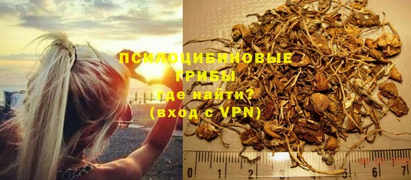 МДПВ Аркадак