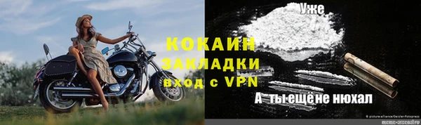 тгк Пестово