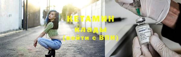 крисы Переславль-Залесский