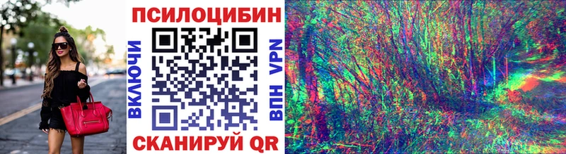 Псилоцибиновые грибы прущие грибы  дарнет шоп  Салехард 